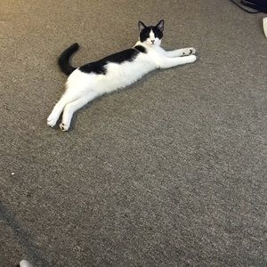 Meet your Posher, Bonnie